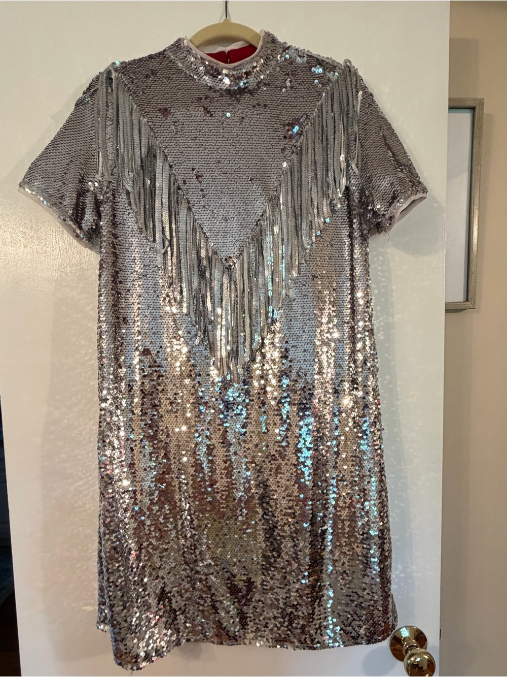 Silver Sequin Fringe Mini Party Dress